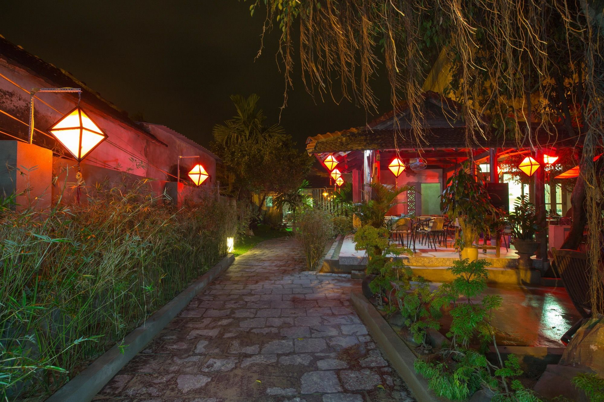 Herbal Tea Homestay Hoi An Eksteriør billede